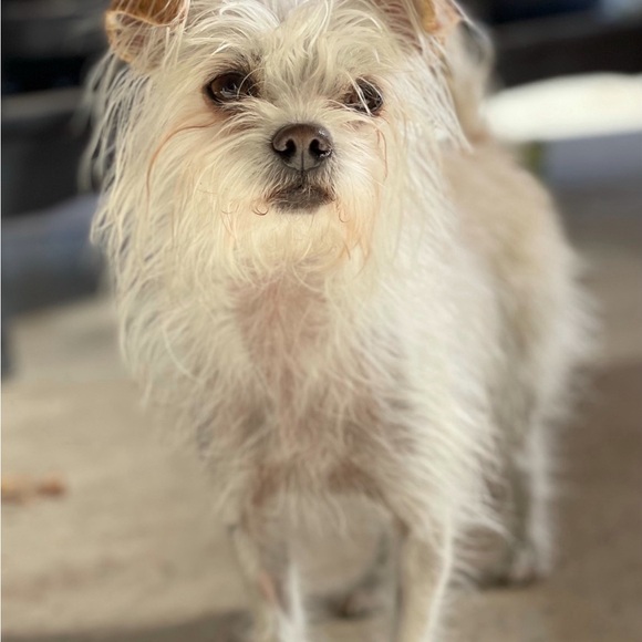 Meet your Posher, Meg! - Picture 3 of 5